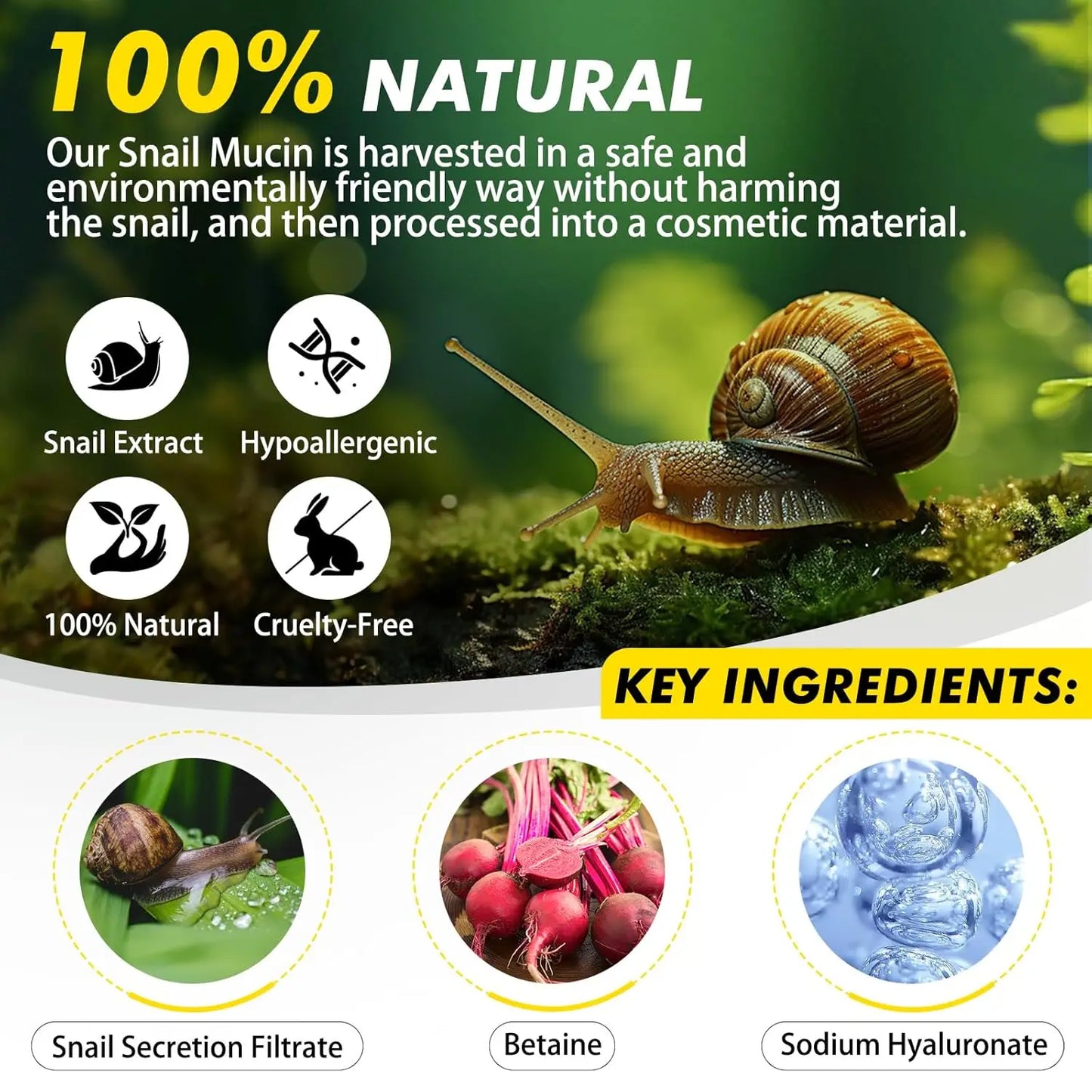 Snail Mucin 92% Anti-Aging Repair Cream - Korean Skincare